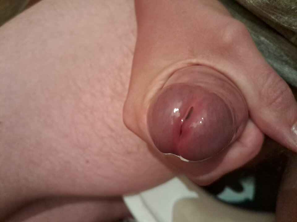 1000042360.jpg - pawel00334