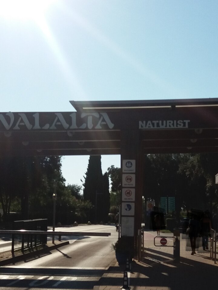 20250813_075526.jpg - Malinki25