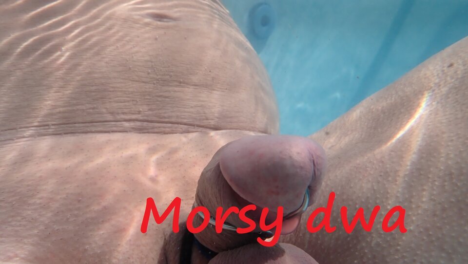 Pod wodą. - Morsy_dwa