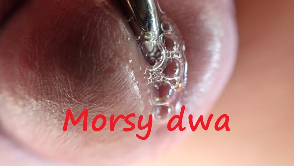 Na chaczyku. - Morsy_dwa