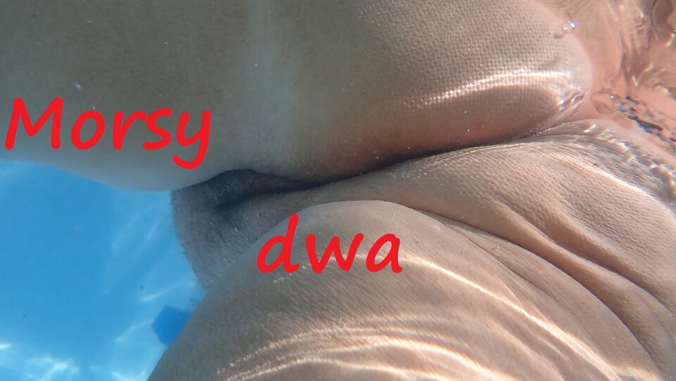 W wodzie - chłodno ! - Morsy_dwa