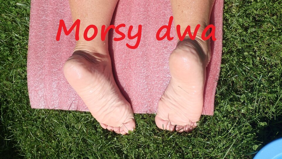 Stópki na słoneczku. - Morsy_dwa