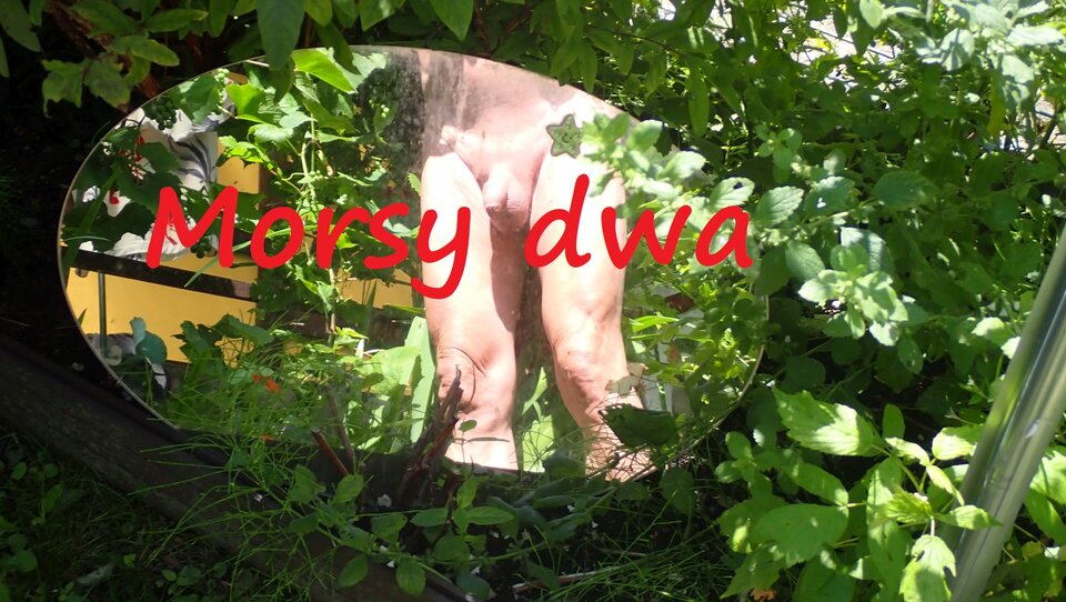 W lusterku. - Morsy_dwa