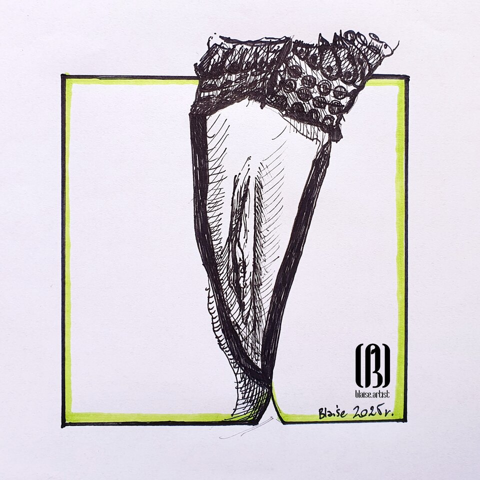 Art. No. 362 - blaise8