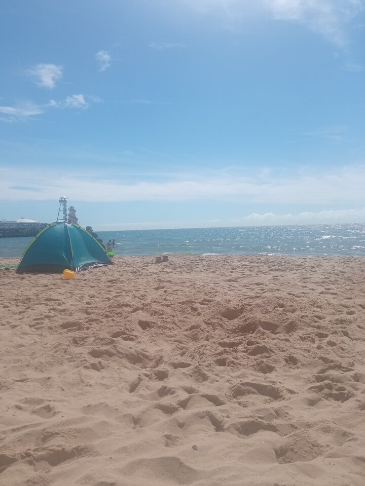 17551697400704876873041847469169.jpg - wolna54