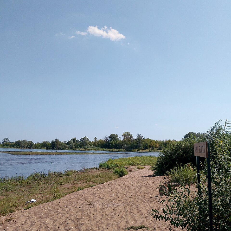 IMG_20250814_141848_635.jpg - maniutek331