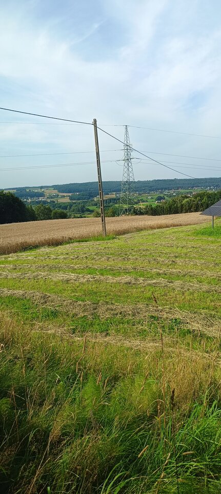 1000019344.jpg - Robert38Kaszub