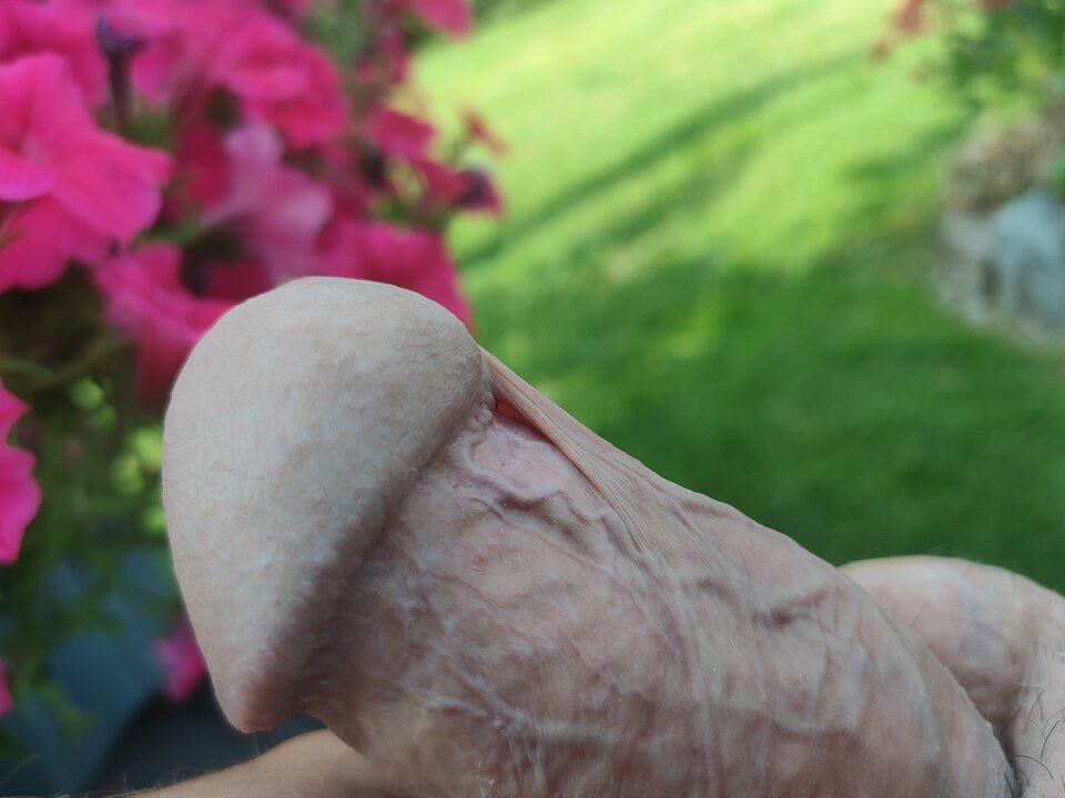 IMG20250814163842.jpg - Rocco780