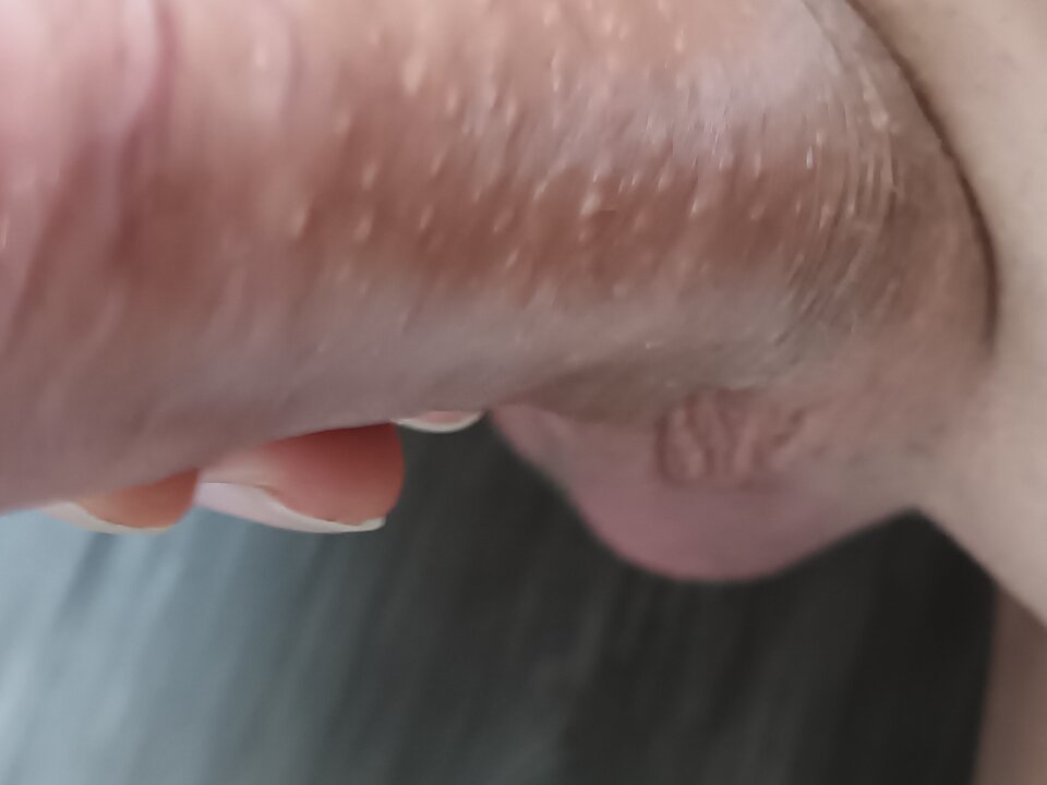 20250814_174642.jpg - Paula_trans