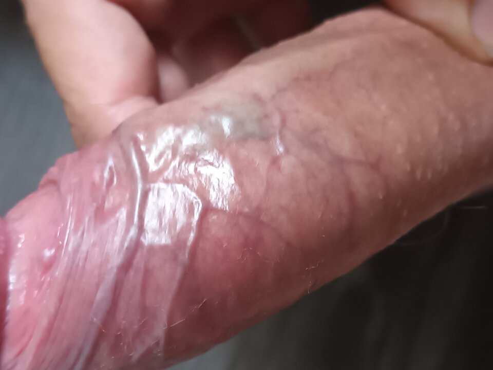 20250814_174638.jpg - Paula_trans