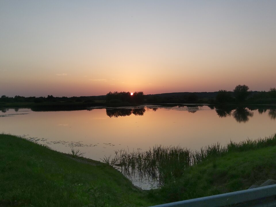 20220721_202938.jpg - Onirazem9876