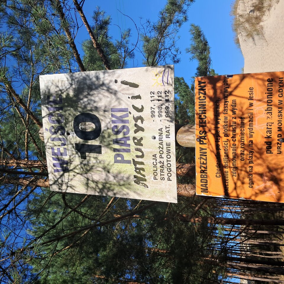 1000014299.jpg - megv01