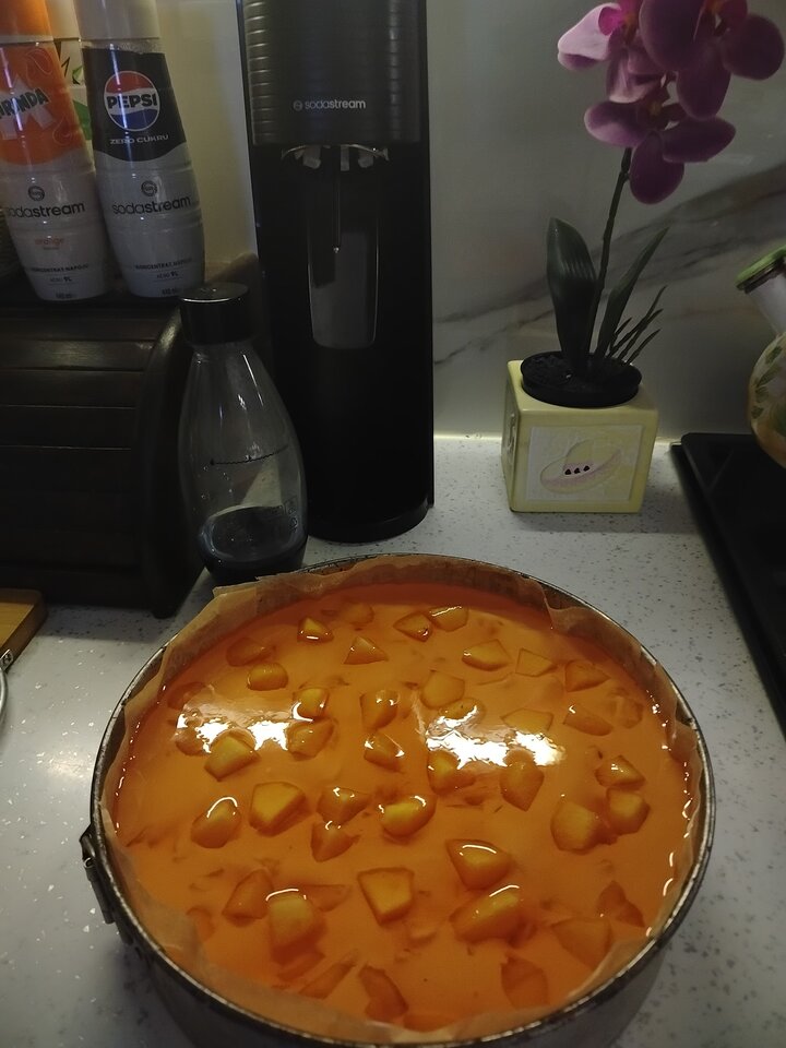 1000001452.jpg - mili3132