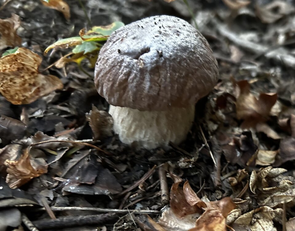 IMG_8291.jpeg - NaturystaXXX