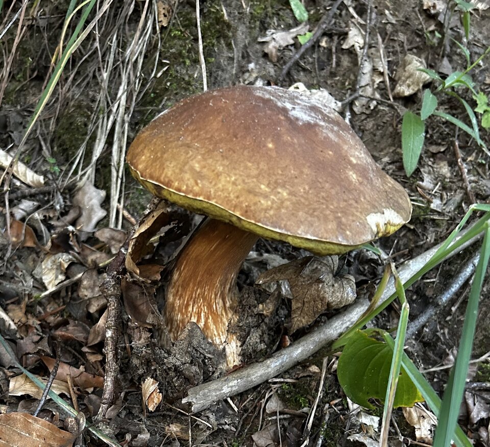 IMG_8293.jpeg - NaturystaXXX