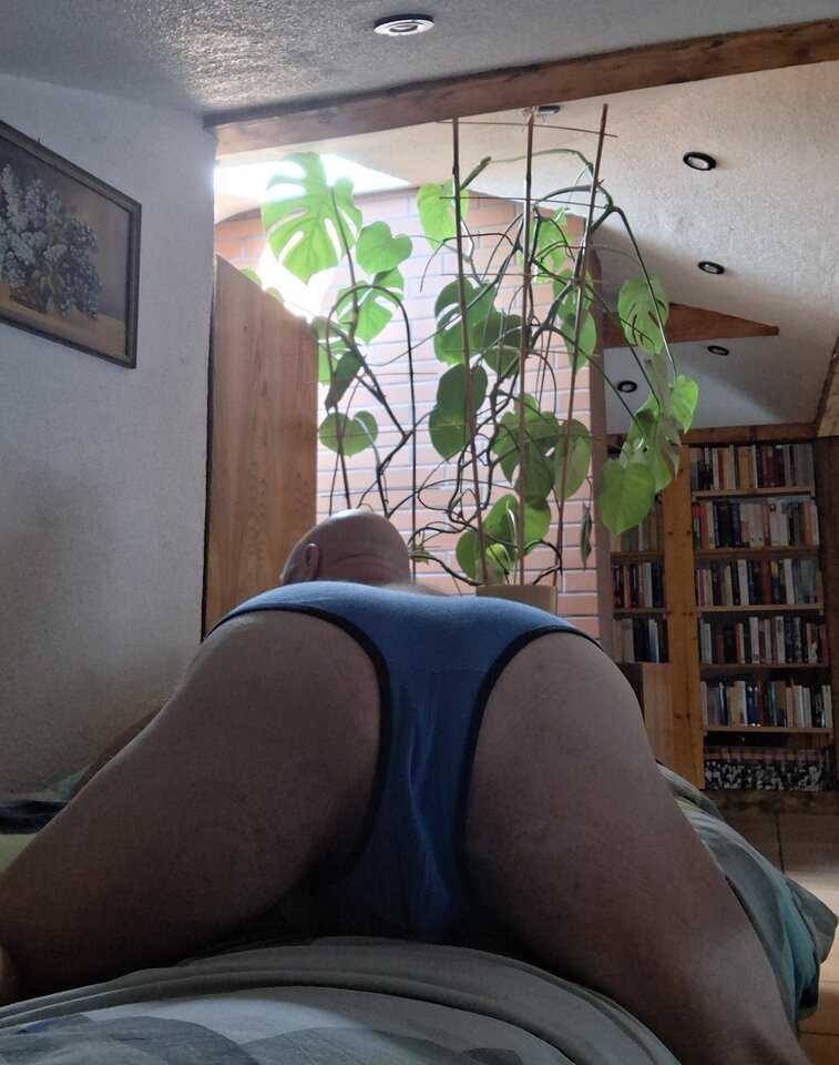 1000019629.jpg - gregory42