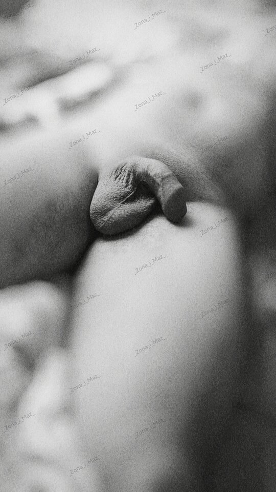 IMG_20250815_110847.jpg - _Zona_i_Maz_