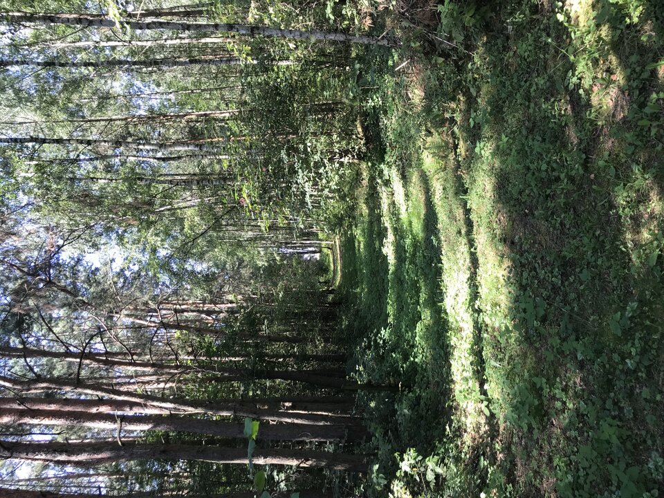 image.jpg - OnRaczejInny