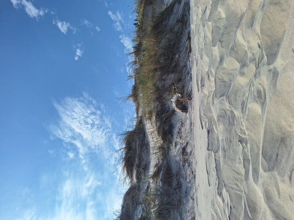 1000008935.jpg - mlodzinamietni