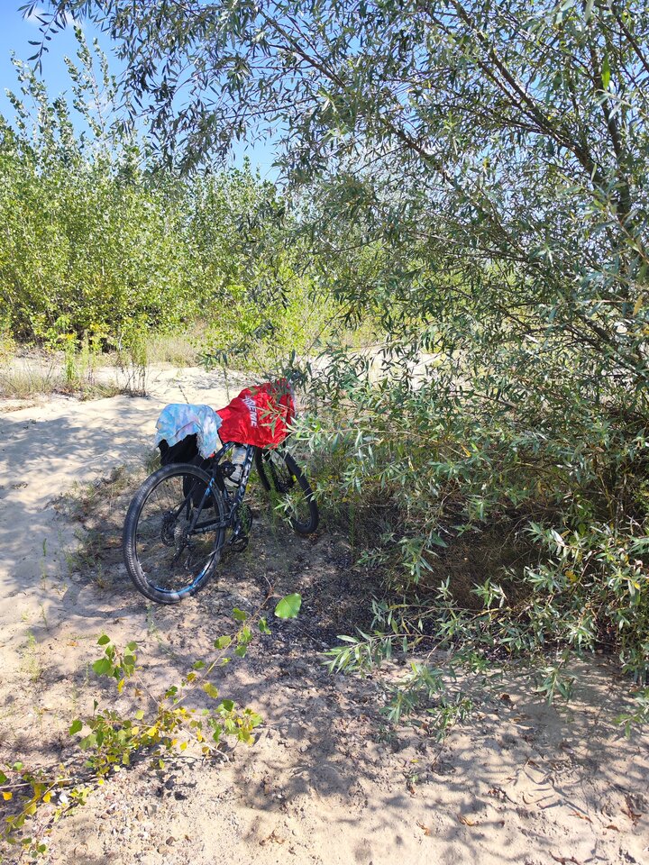 1000019547.jpg - tom6970