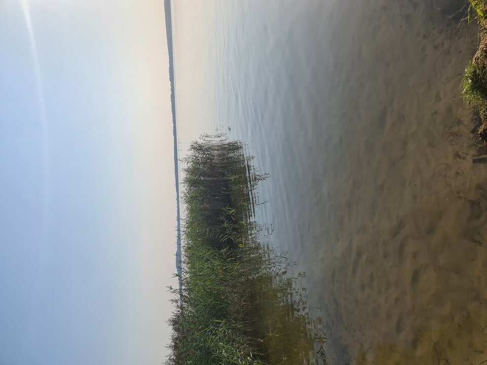 17552734676814977366019415052115.jpg - On_Zabawa