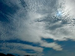 IMG_8326.jpeg