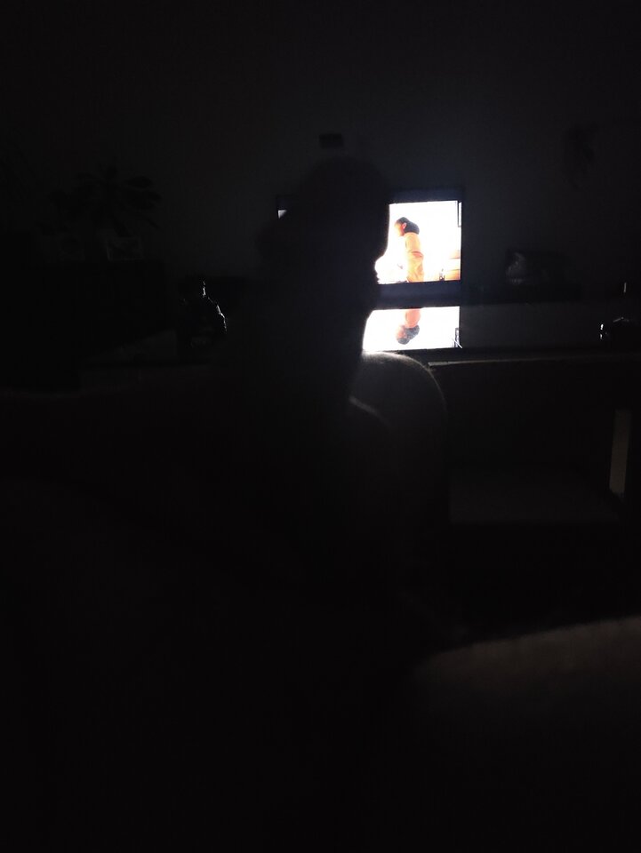 1000017149.jpg - IdealnyDoAnala