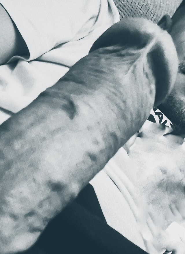 PaniJegoWiernaSuczka1