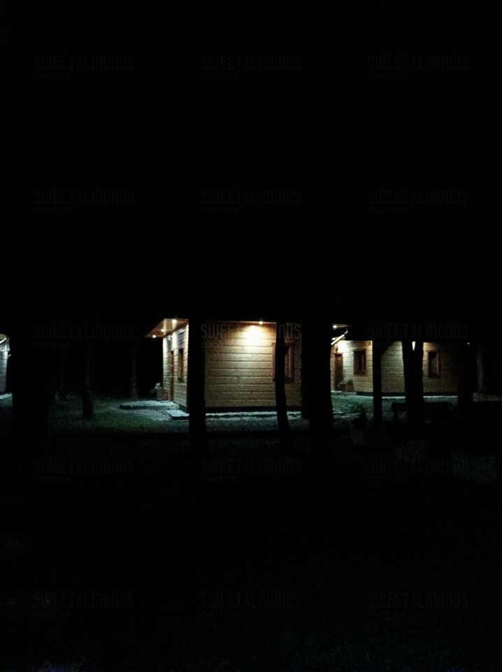 IMG_20250814_234339.jpg - SweetAlmonds