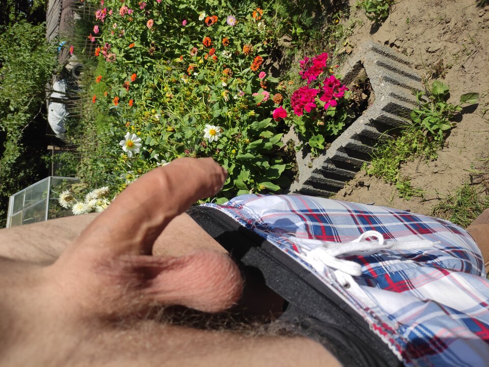 IMG_20250815_124942.jpg - Adamadam1978