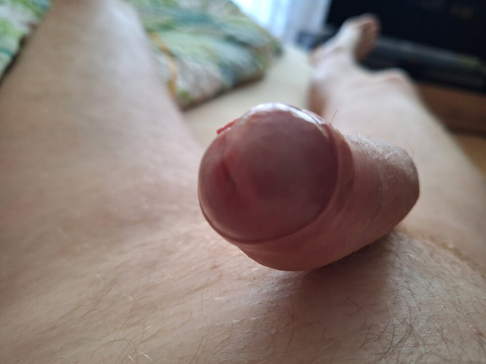 1000024341.jpg - Adamus_1976