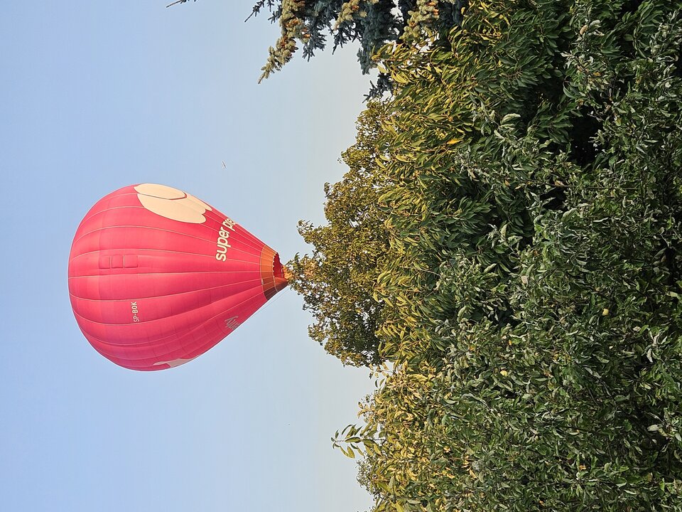 1000009456.jpg - zenekmaly