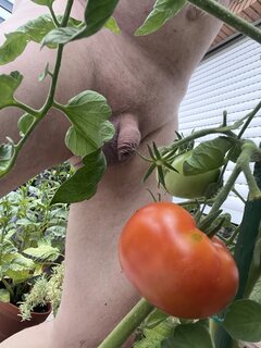 IMG_5971.jpeg