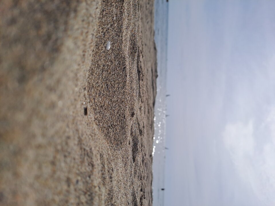 1000023085.jpg - marian11286