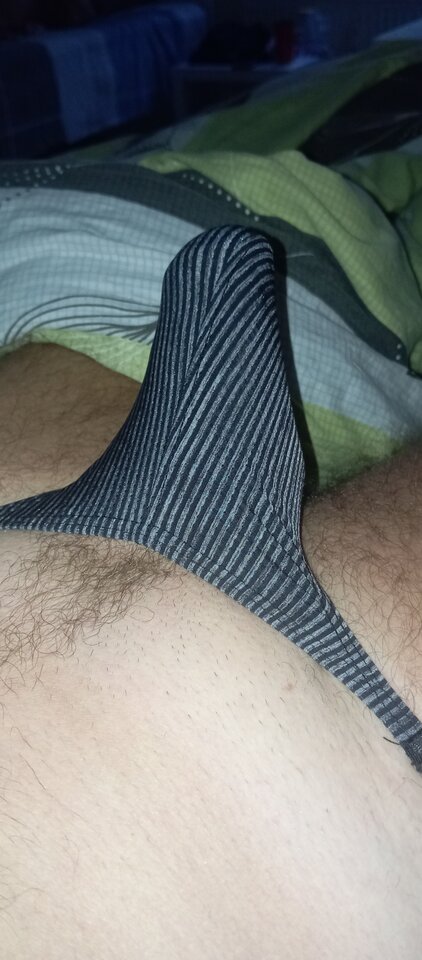 IMG_20250816_055443.jpg - przeznaczenie79