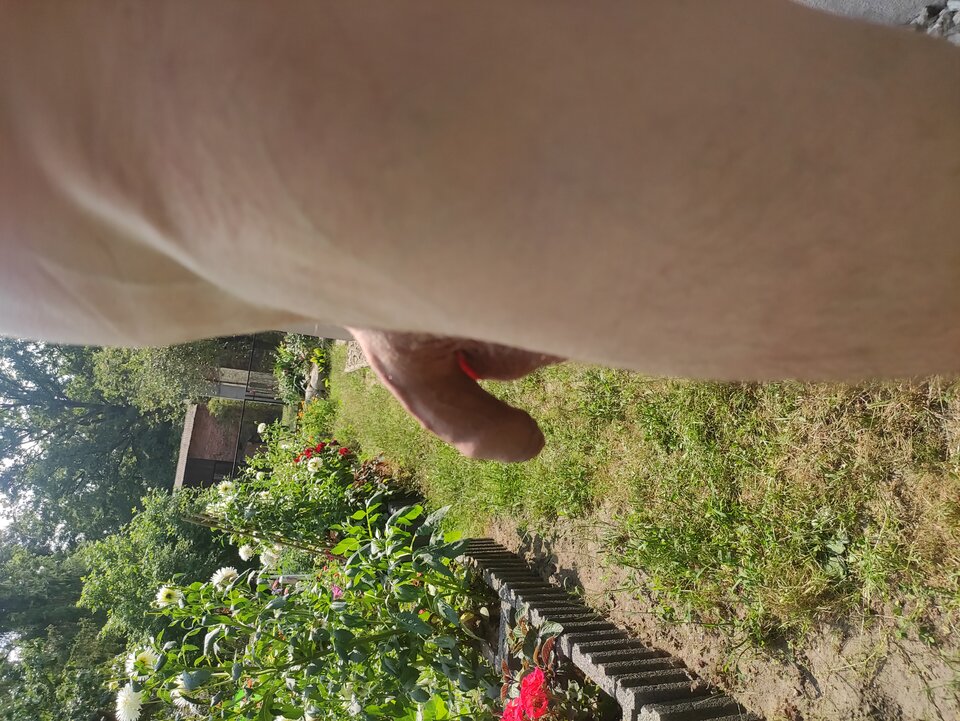 IMG_20250816_130748.jpg - Adamadam1978