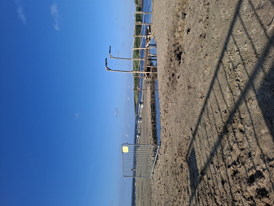 1000027651.jpg - 50OnOna43