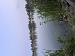 IMG_1130.jpeg