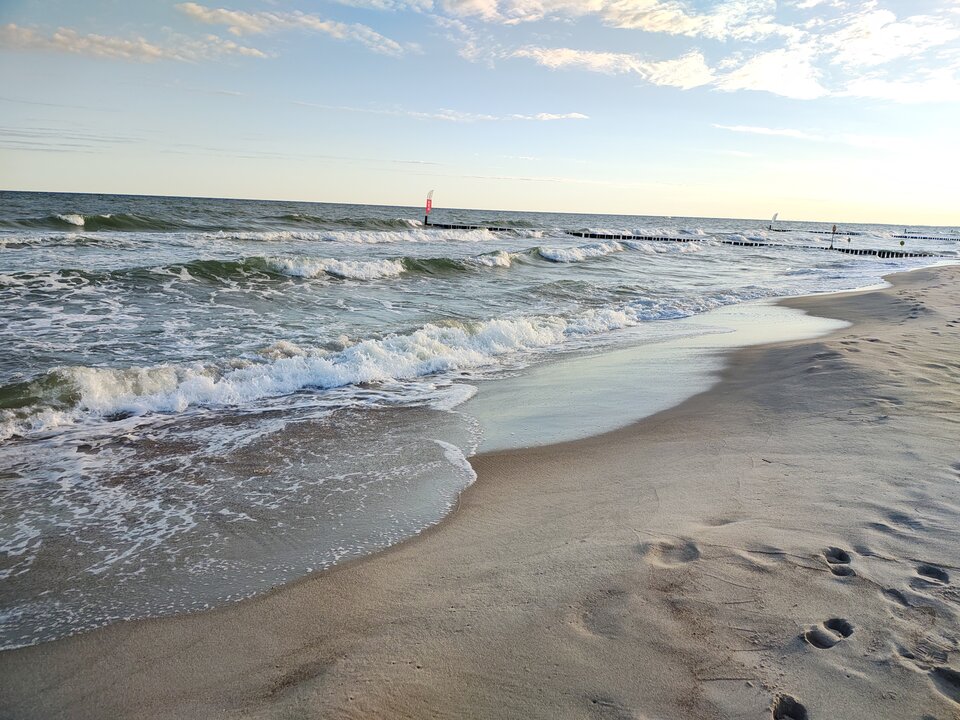 1000002363.jpg - AdasSAMOTNY