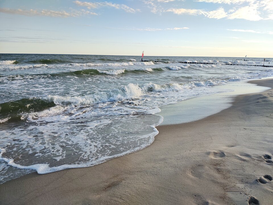 1000002360.jpg - AdasSAMOTNY