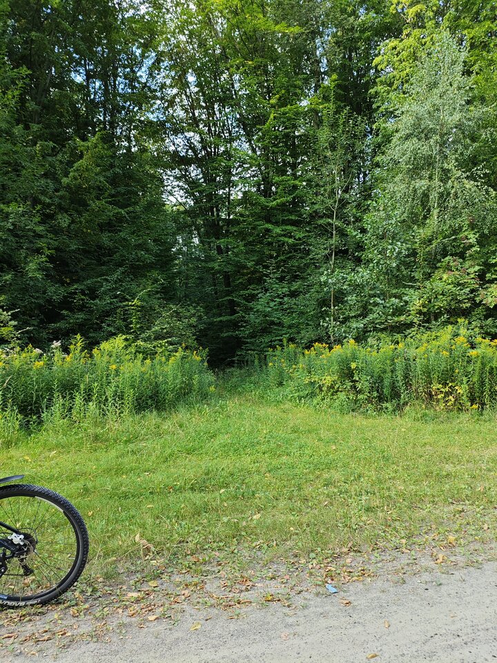 1000012173.jpg - IrPKIr