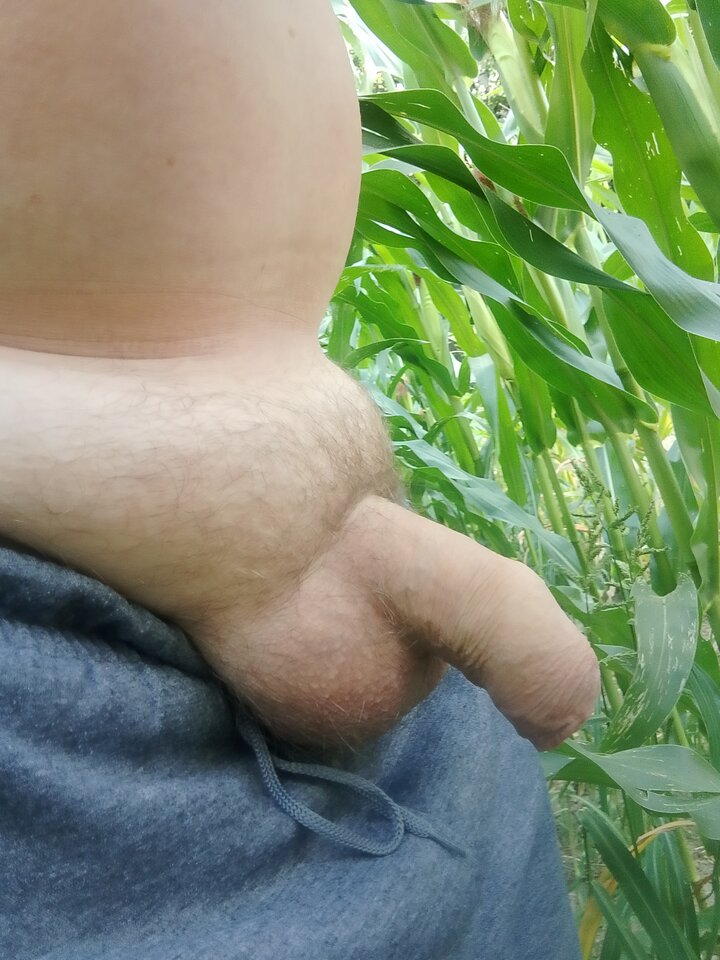 1000007030.jpg - Rafal00000