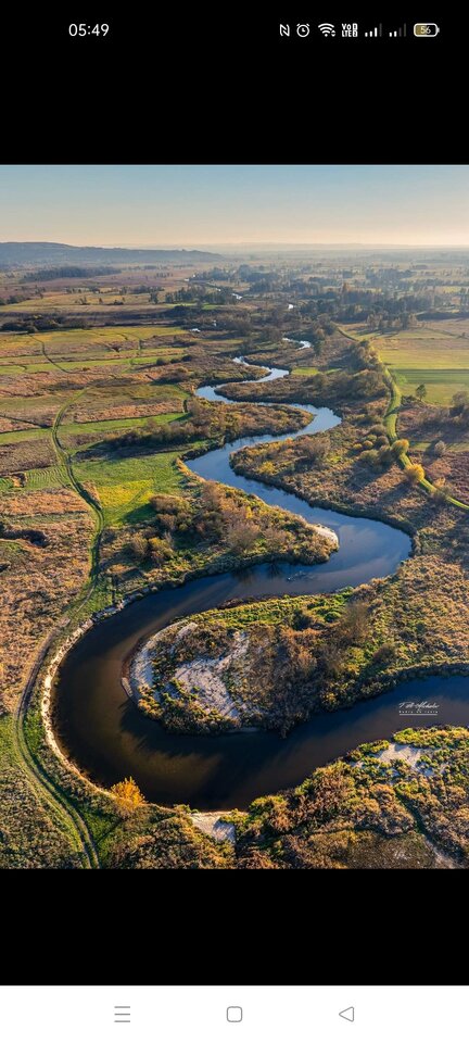 0faf2981-5d4c-410e-ad85-5fca28fcfa69-1_all_20.jpg - Wszolek