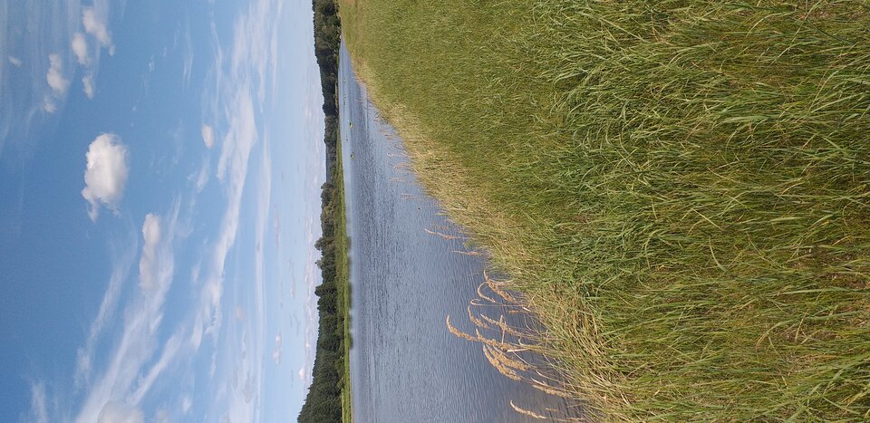 20250817_121920.jpg - BP74