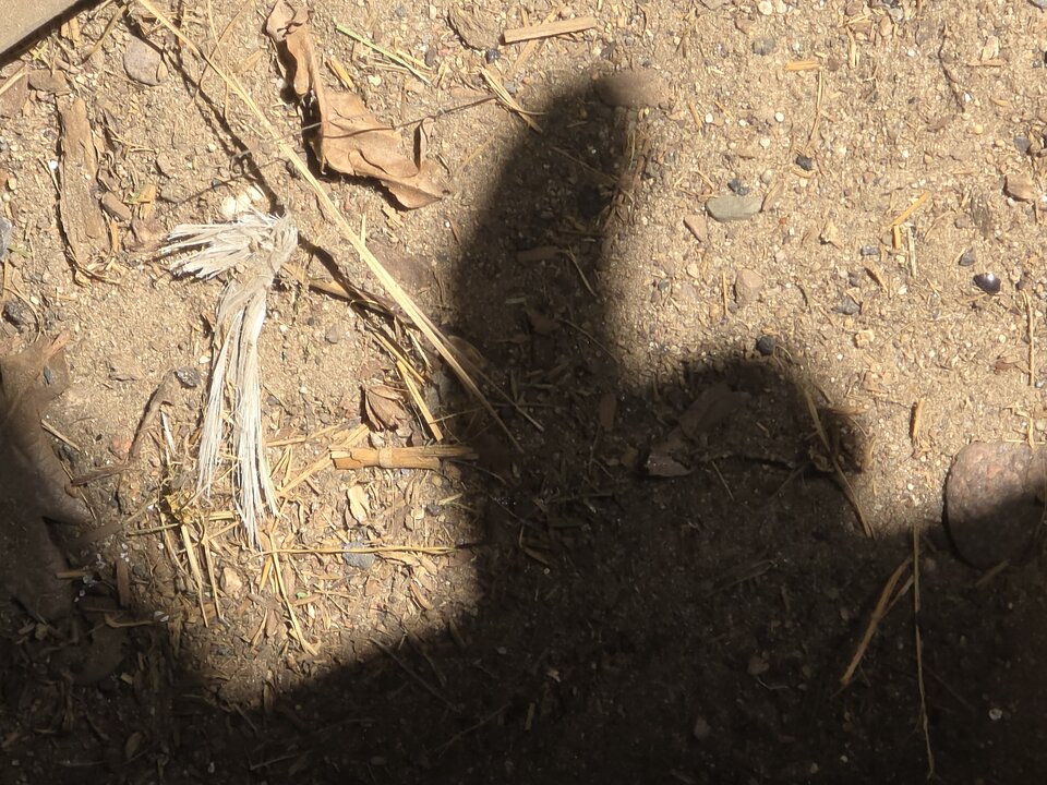 1000010107.jpg - Fiutkutaschujjaja