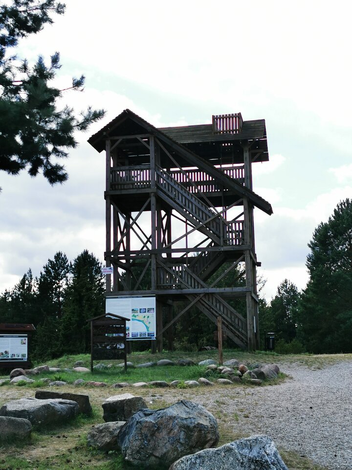 IMG_20250817_131847.jpg - majo82