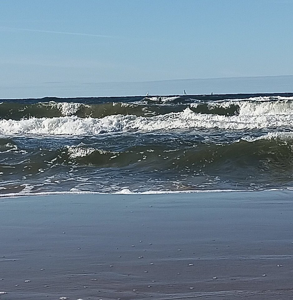 Screenshot_20250817-172012~2.jpeg - Nieogarnieci