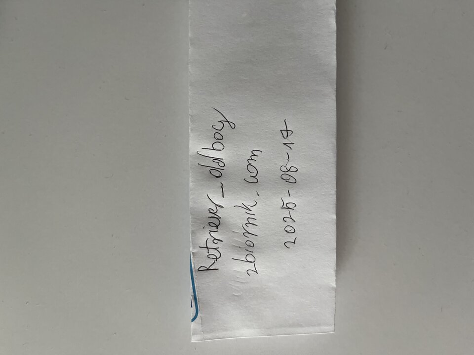 image.jpg - Retriever_ddboy