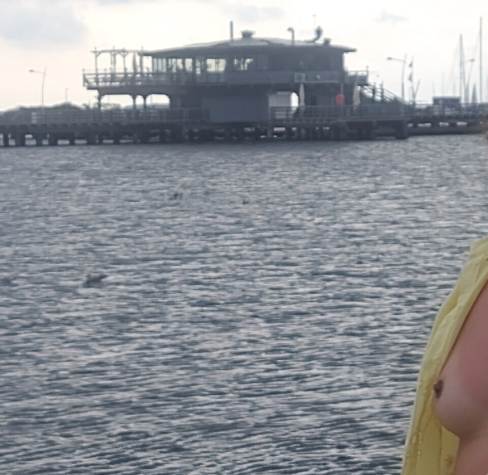 1000001818.jpg - lodzterere