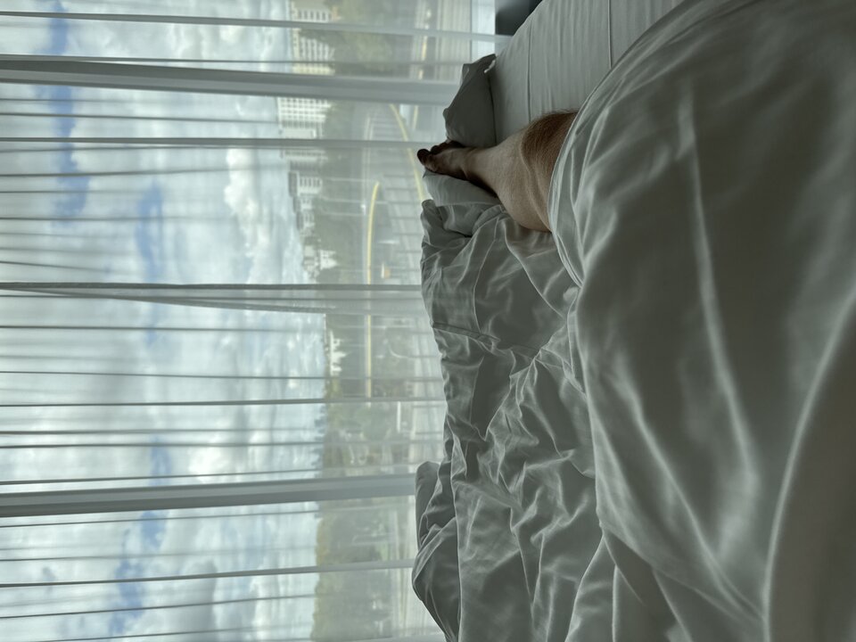 image.jpg - rado8338